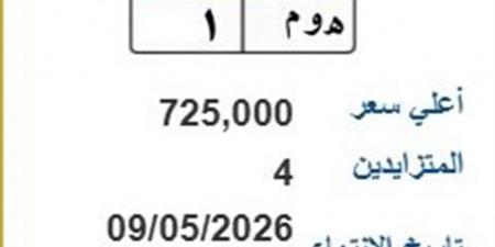 طرح لوحة «ه وم- 1» بسعر 725 ألف جنيه