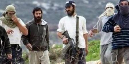 مستوطنون يحرقون سيارة ويخطون شعارات عنصرية في رام الله الفلسطينية