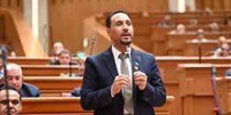 النائب جرجس لاوندي: زيارة الرئيس السيسي للإمارات تجسد وحدة الصف العربي وترسل رسالة ردع حاسمة ضد تهديد أمن الخليج