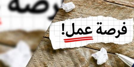 مديرية العمل بالمنوفية تعلن توفير 110 فرص عمل للشباب بمختلف التخصصات