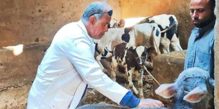 "بيطري الشرقية": تحصين 339 ألفا و195 رأس ماشية