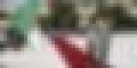 الفريق أول شنقريحة يستقبل الوزيرة المنتدبة لدى وزيرة الجيوش الفرنسية وقدماء المحاربين