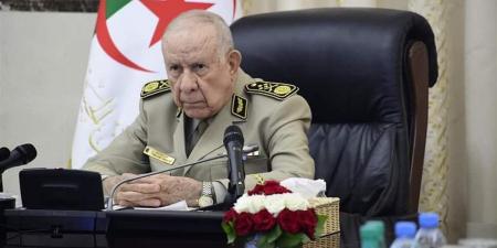 رئيس الأركان الجزائري يدعو لتجاوز الماضي "الأليم" مع فرنسا وبناء علاقات احترام متبادل