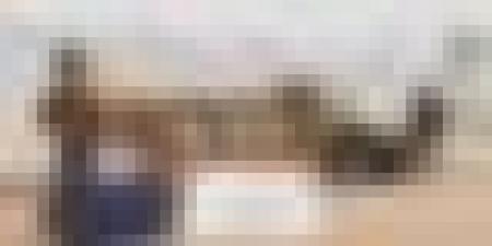  حجز أكثر من مليون قرص مهلوس بتمنراست