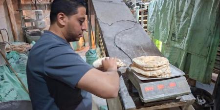 "تموين الغربية": تحرير 42 محضرًا خلال حملات رقابية موسعة على المخابز البلدية