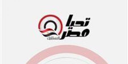 الحمامصي يطالب بخطة عاجلة لحماية الأطفال داخل المدارس من التحرش والاعتداءات