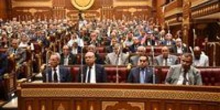 النائب أحمد العادلي: تطوير مصر للطيران والمطارات خطوة استراتيجية لتعزيز مكانة مصر وتنافسية النقل الجوي الدولي
