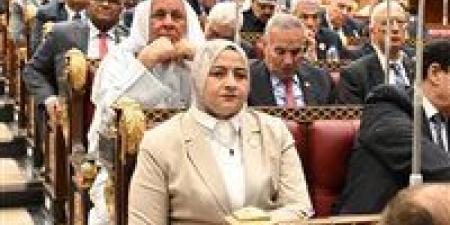 لتحقيق أمن الطاقة.. النائبة مروة قنصوه تناقش كيفية دعم الاستثمار في محطات الطاقة الشمسية أعلى المباني