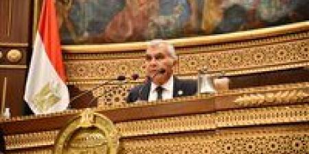 انطلاق الجلسة العامة للشيوخ لمناقشة تطوير المطارات المصرية