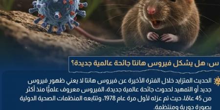 الحكومة تحسم الجدل: لا إصابات بـ"هانتا" في مصر والفيروس لن يتحول لجائحة