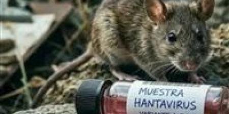 هل يبدأ الانتشار المرعب؟.. خبراء يراقبون بقلق يوم 19 مايو الحاسم