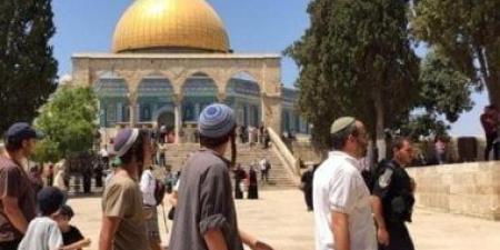 التعاون الإسلامي تدين اقتحام الوزير الإسرائيلي المتطرف "بن غفير" للمسجد الأقصى
