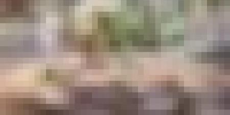 إطلاق الحملة الوطنية لجمع جلود الأضاحي