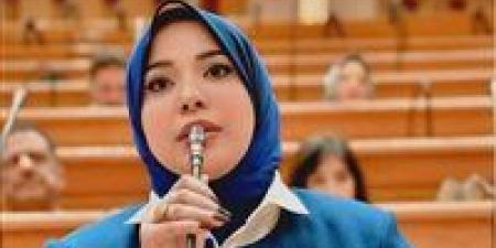 البرلمان يناقش طلب النائبة دينا الهلالي بشأن تطوير منظومة الدعم التمويني الاثنين المقبل