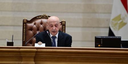 نواب: العلاقات المصرية- الليبية علاقات متجذرة تقوم على روابط الدم والنسب والثقافة والمصير المشترك