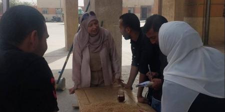 تحرير 243 محضرًا وضبط لحوم وأسماك فاسدة خلال حملات تموينية بالمنوفية