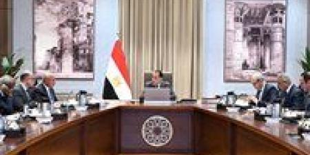رئيس الوزراء يستعرض جهود تعزيز الربط والتبادل التجاري واللوجيستي مع الدول الإفريقية