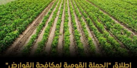 إطلاق "الحملة القومية لمكافحة القوارض" لمنع التسلل إلى الكتل السكنية ومخازن الغلال