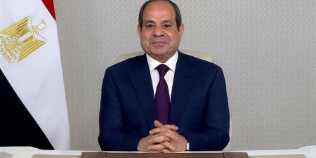 مروة حسان: كلمة الرئيس السيسي في يوم أفريقيا خريطة طريق لحماية مقدرات القارة