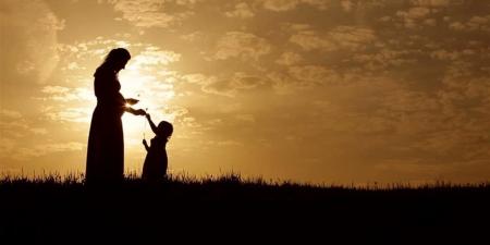 رحلة عذاب.. "الدستور" ترصد معاناة الأرامل من روتين مكاتب «التأمينات الاجتماعية» قبل صرف المعاش