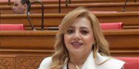 النائبة هبة غالي لِـ تحيا مصر: الصفحات التجارية غير المرخصة تهدد الاقتصاد الرسمي وتستنزف حقوق الدولة