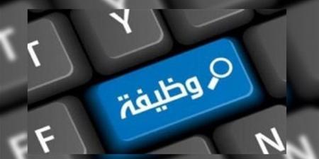 الهيئة المصرية لسلامة الملاحة البحرية تعلن عن وظيفة مدير إدارة المراجعة الداخلية والحوكمة