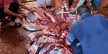 استمرار ذبح الأضاحي بالمجان في مجازر الوادي الجديد خلال ثاني أيام العيد