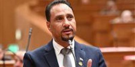 جرجس لاوندي: العلمين الجديدة تجسد رؤية الجمهورية الجديدة وتؤسس لمستقبل عمراني واقتصادي واعد
