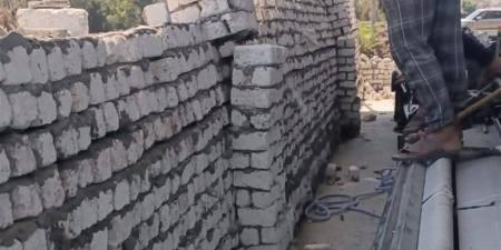 "زراعة الغربية" تُزيل 10 قراريط تعديات في رابع أيام العيد