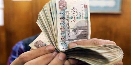 قروض المرأة المعيلة في البنوك.. التمويل والشروط والمزايا