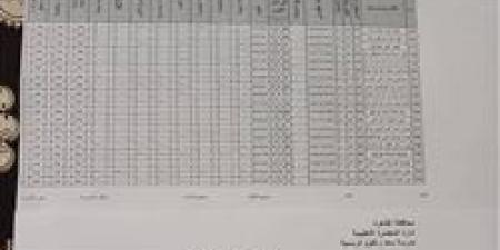 نتيجة الصف الرابع الابتدائي 2026 الترم الثاني.. رابط الاستعلام وخطوات الحصول على النتيجة