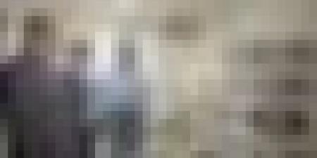 تشريعيات 2 جويلية.. لجان تفتيشية مركزية تواصل تنقلها للولايات لمتابعة التحضيرات