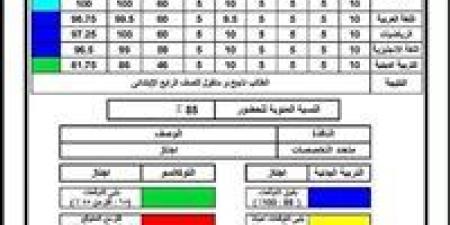 نتيجة الصف الثالث الابتدائي محافظة الجيزة فور اعتمادها من هنا 2026
