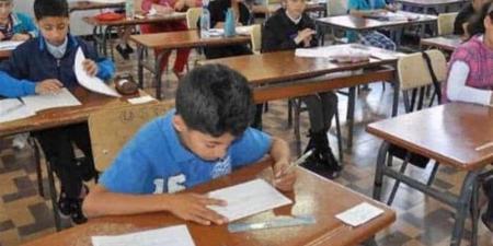 نتائج السادس الابتدائي 2026 في العراق.. رابط الاستعلام حسب المحافظة