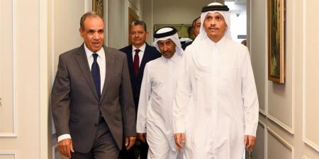 وزير الخارجية يستقبل نظيره القطري.. ويتبادلان الرؤى حول الأوضاع الإقليمية