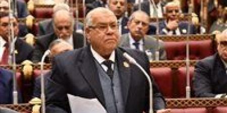 خاص|رئيس حزب الجيل لـ " تحيا مصر": التدرج في العقوبات الأسرية ضرورة وإسقاط الحضانة للحالات القصوى فقط