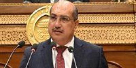 برلمانية الشعب الجمهوري: خطة التنمية الاقتصادية تمثل خطوة مهمة في مسار التخطيط التنموي للدولة