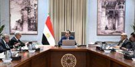 رئيس الوزراء يتابع جهود تنفيذ خطة إعادة هيكلة وحوكمة الشركات المملوكة للدولة