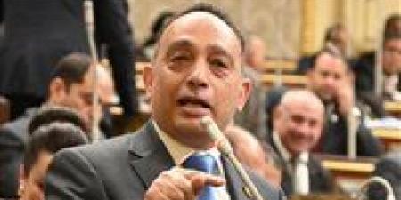 النائب فريدي البياضي يطالب بإقالة رئيس هيئة التأمينات الاجتماعية بسبب أزمة تأخر صرف المعاشات