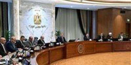 قرارات عاجلة من مجلس الوزراء اليوم الأربعاء