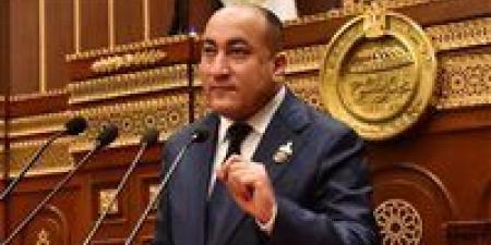عمرو رشاد يطالب بملاحقة مروجي الدعارة إلكترونيًا وتفعيل نصوص القانون الرادعة