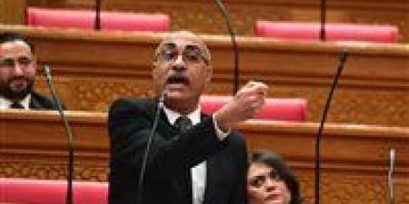 النائب إيهاب منصور لـ تحيا مصر: مكالمات التسويق العقاري العشوائية تحتاج إلى ضوابط حاسمة لحماية المواطنين من النصب والاحتيال