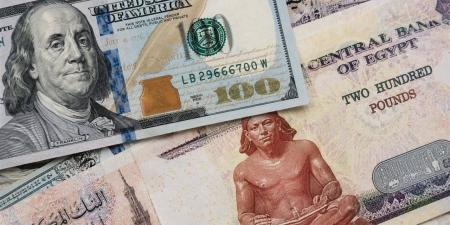 خبير مصرفي: توقعات "ستاندرد تشارترد" بتراجع الدولار تعكس تحسن الاقتصاد المصري