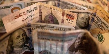 الدولار تحت الـ50.. تقارير دولية: الجنيه المصرى يسترد عافيته مع نمو الاحتياطى الأجنبى وزيادة تحويلات العاملين بالخارج والاستثمارات
