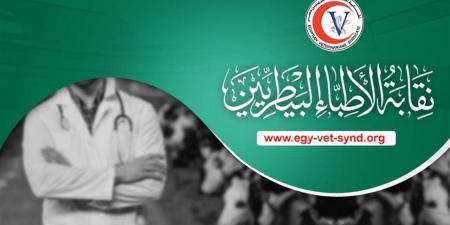 وكيل "البيطريين": لا بنية تحتية للتدريب بـ"سنة الامتياز" ونرفض تحميل الخريجين أعباء مالية