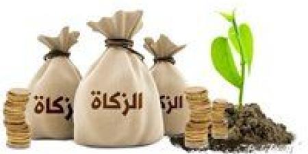 أمين الفتوى بدار الإفتاء المصرية: يجوز للمرأة إخراج زكاة مالها لزوجها الفقير والعكس غير صحيح