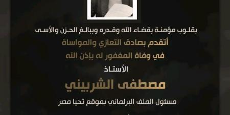 النائب أحمد عبد الجواد ينعى مصطفى الشربيني مسؤول الملف البرلماني بموقع "تحيا مصر"
