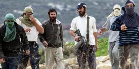 عاجل.. بـ 1.89 مليون دولار.. حكومة نتنياهو تعتزم تمويل حركة "شبان التلال" الاستيطانية المتطرفة