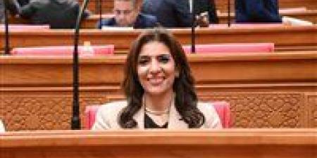 النائبة رانيا الشيمي: حضور مصر قمة السبع تعكس مكانة مصر الدولية