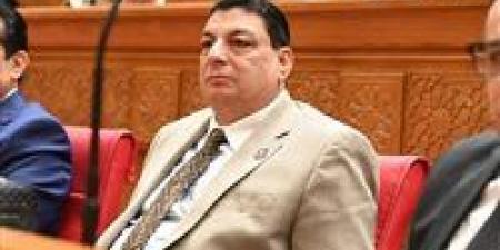 سامي نصر الله: لقاء السيسي وترامب يعكس مكانة مصر كشريك رئيسي في قضايا المنطقة